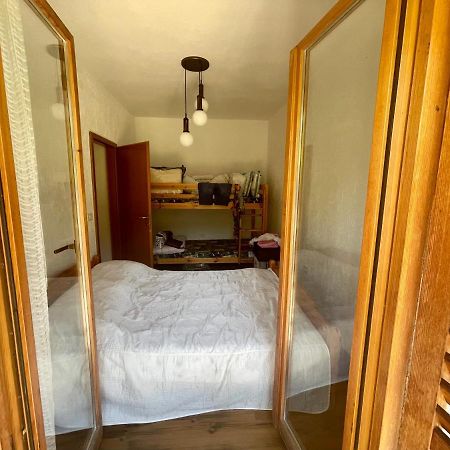 איזולה Apartment Olive Grove מראה חיצוני תמונה